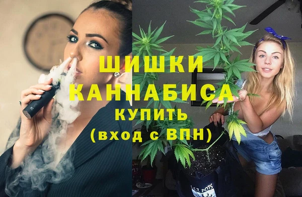 крисы Аркадак