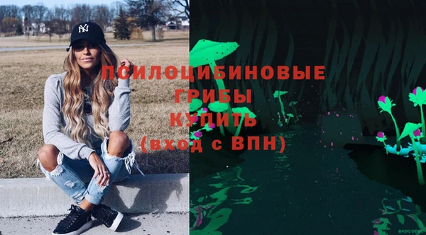 крисы Аркадак