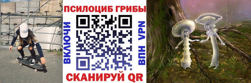 купить   Дыгулыбгей  Галлюциногенные грибы мицелий 